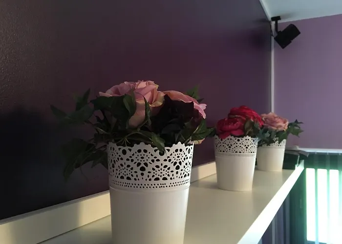 Le Verger Couette-café Gorron