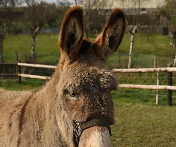 Le Verger Couette-café