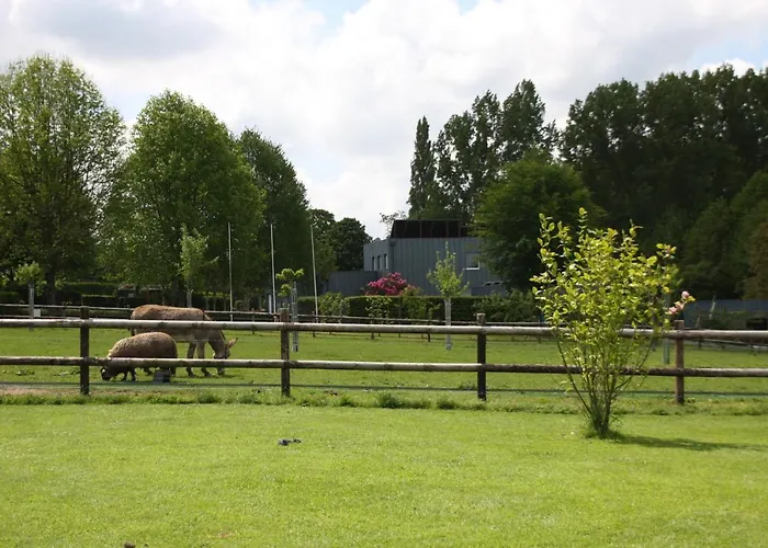 Le Verger Couette-café *